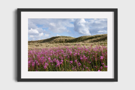 Dune Flowers Photography Print In Black Frame